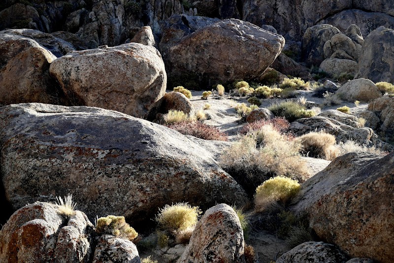 Discovering Lone Ranger Canyon outdoor detail