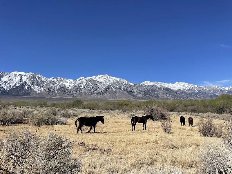 Wild Beauty of Moffat Ranch - Moffat Ranch