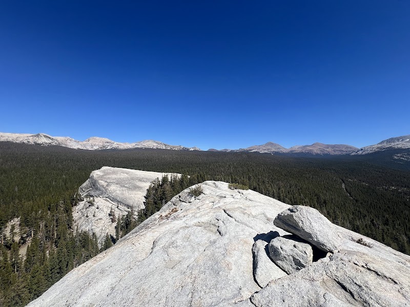Exploring the Granite Majesty of Lembert Dome - Lembert Dome