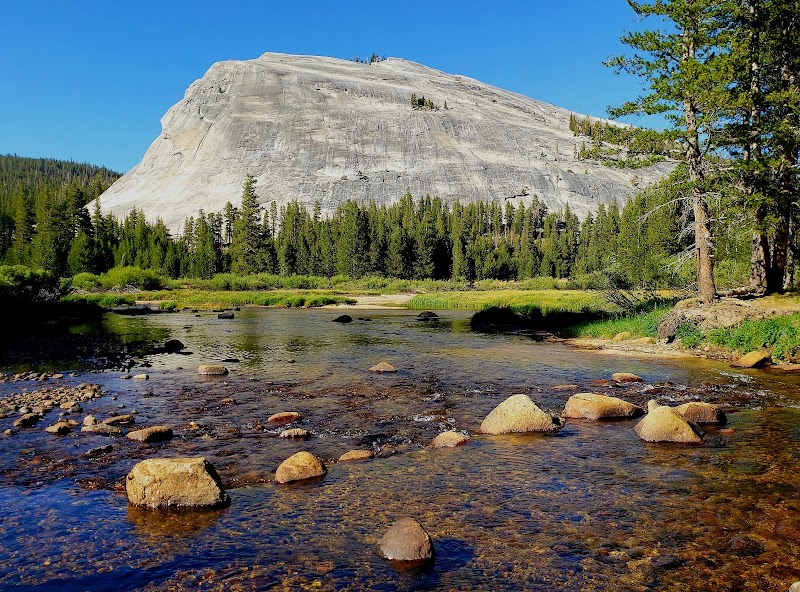 Exploring the Granite Majesty of Lembert Dome - Lembert Dome
