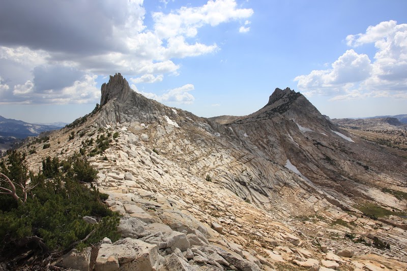 Captivating Cockscomb in California's Wilderness - Cockscomb