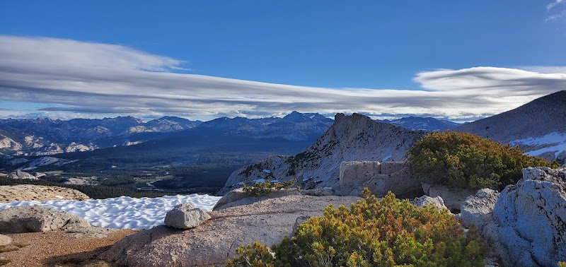Captivating Cockscomb in California's Wilderness - Cockscomb