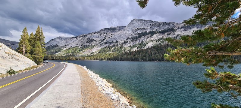Tranquil Waters of Tenaya Lake - Tenaya Lake