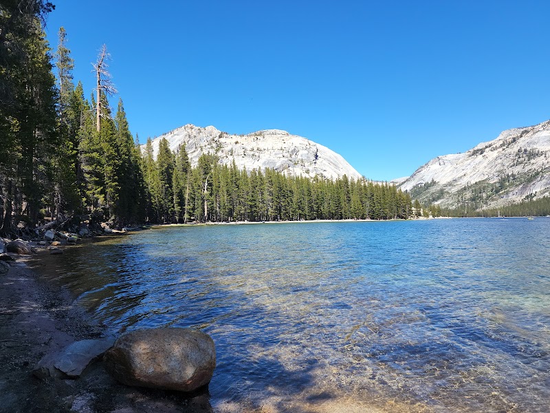 Tranquil Waters of Tenaya Lake - Tenaya Lake
