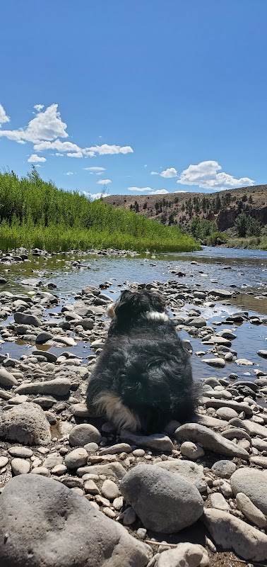 Riverside Serenity at East Fork Carson River - East Fork Carson River