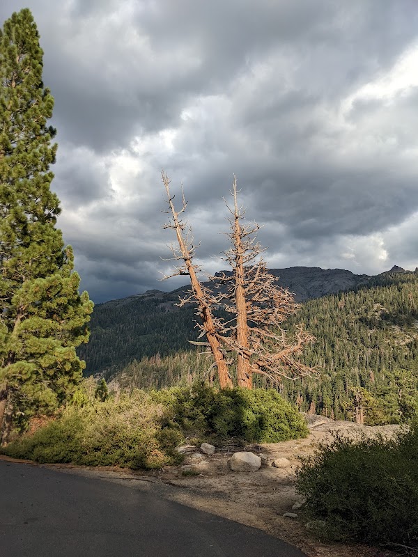 Majestic Views of Sierra Nevada surrounding landscape