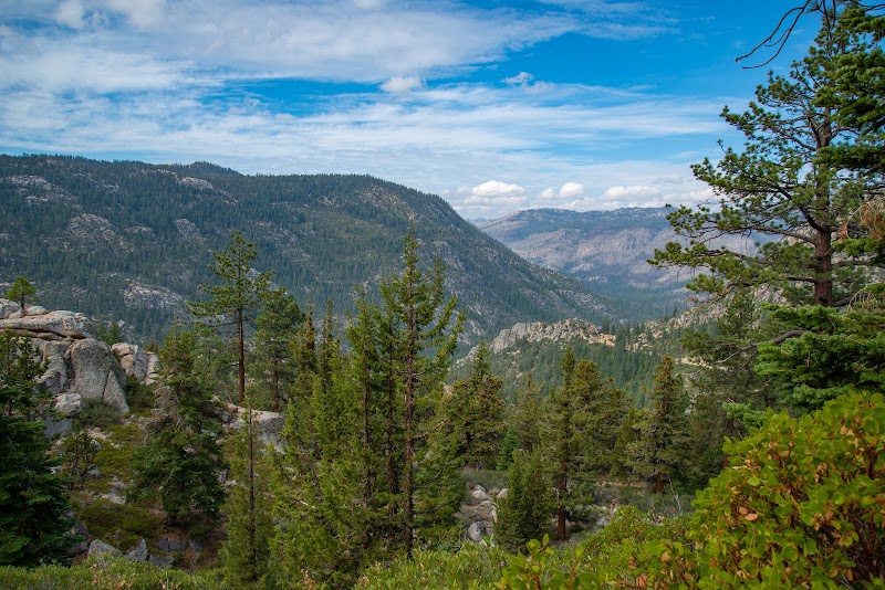 Emigrant Wilderness: A Sierra Nevada Gem outdoor detail