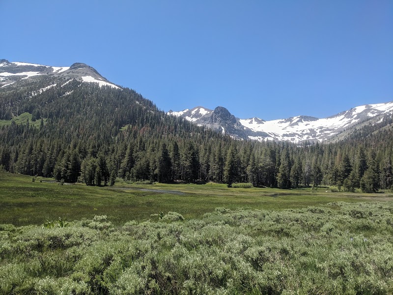 Emigrant Wilderness: A Sierra Nevada Gem surrounding landscape