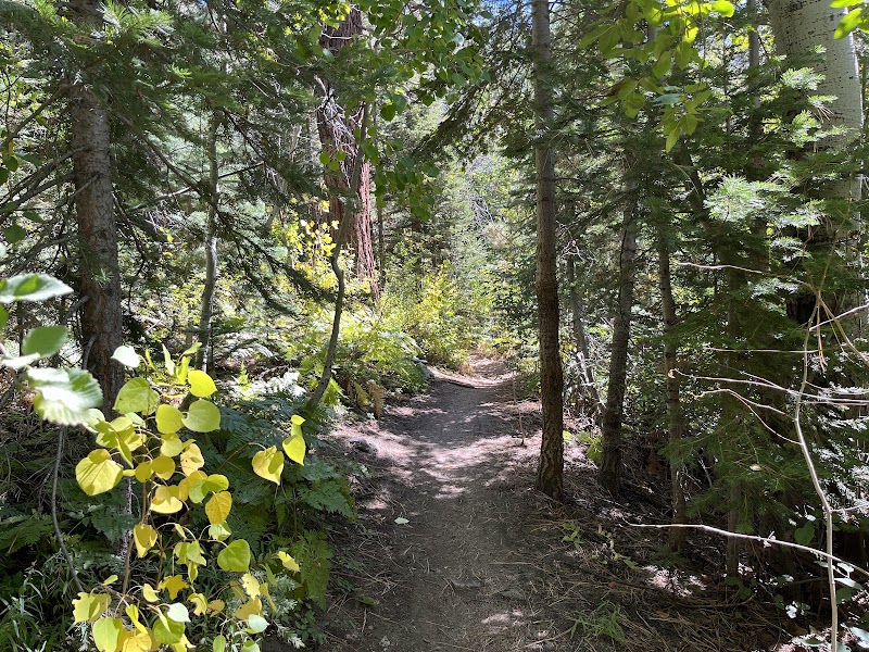 Outdoor Escape at High Meadow Trailhead surrounding landscape
