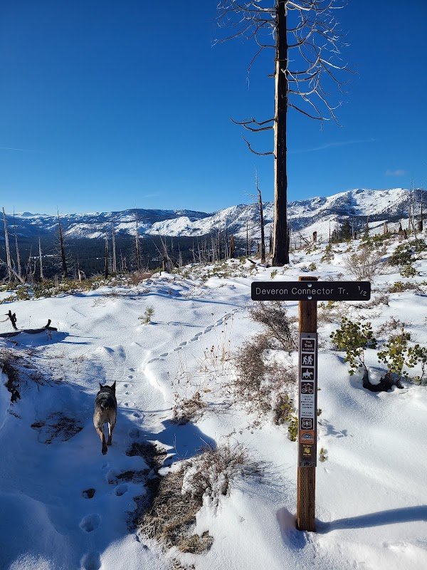 Tahoe Mountain: A Scenic Escape in South Lake Tahoe surrounding landscape