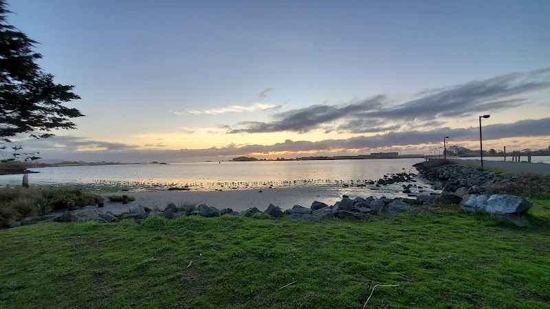 Victorian Charm of Eureka surrounding landscape