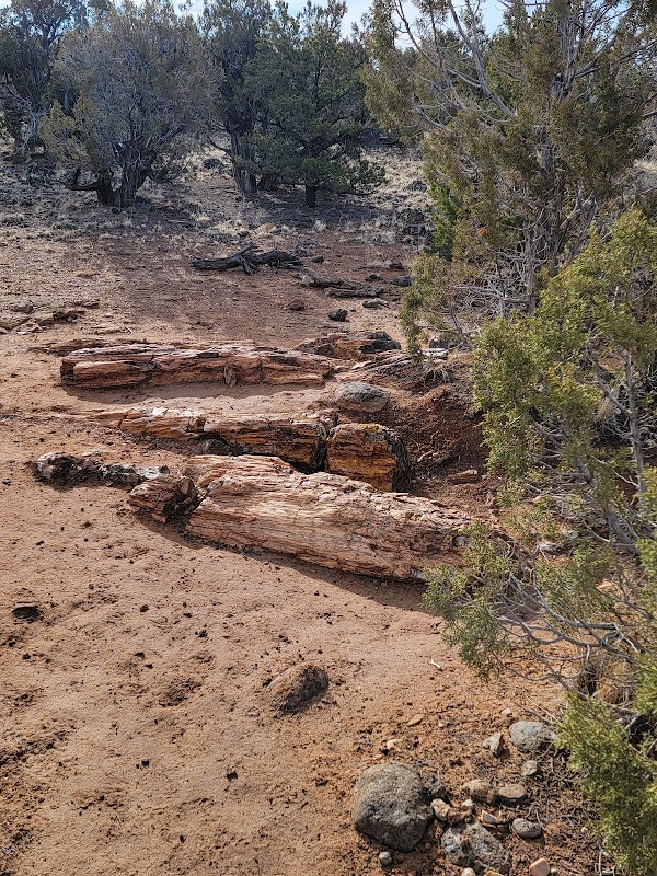 Petrified Wonders at Escalante Petrified Forest State Park surrounding landscape