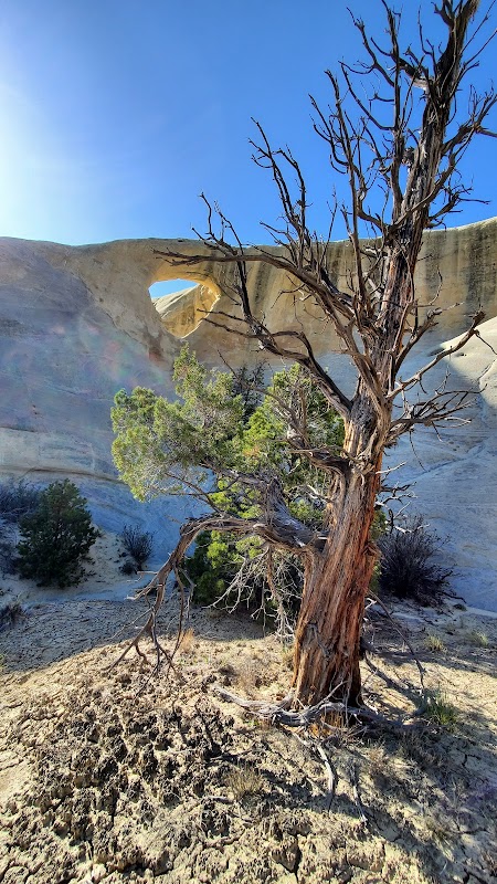 Discover Cedar Wash Arch in Escalante - Cedar Wash Arch