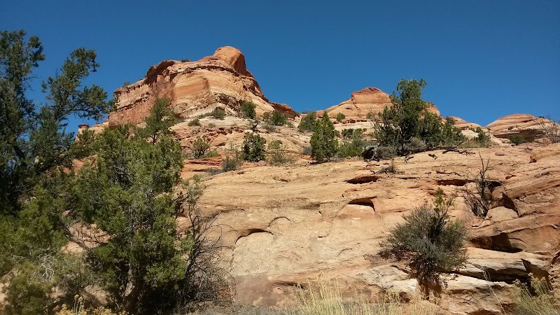 Discover the Majestic Phipps Arch in Escalante - Phipps Arch