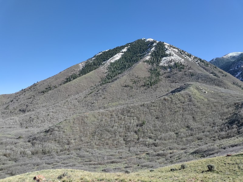The Escalante Cross at Spanish Fork: A Historical Haven outdoor detail