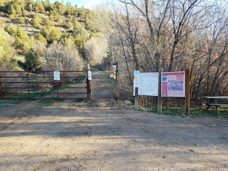 Hiking Bliss at Animas Mountain East Trailhead surrounding landscape