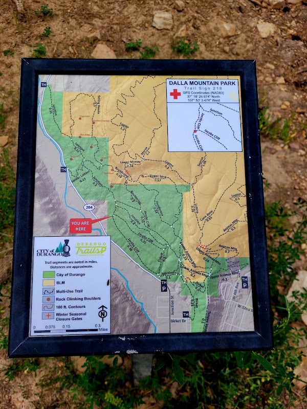 Exploring Dalla Mountain Park surrounding landscape
