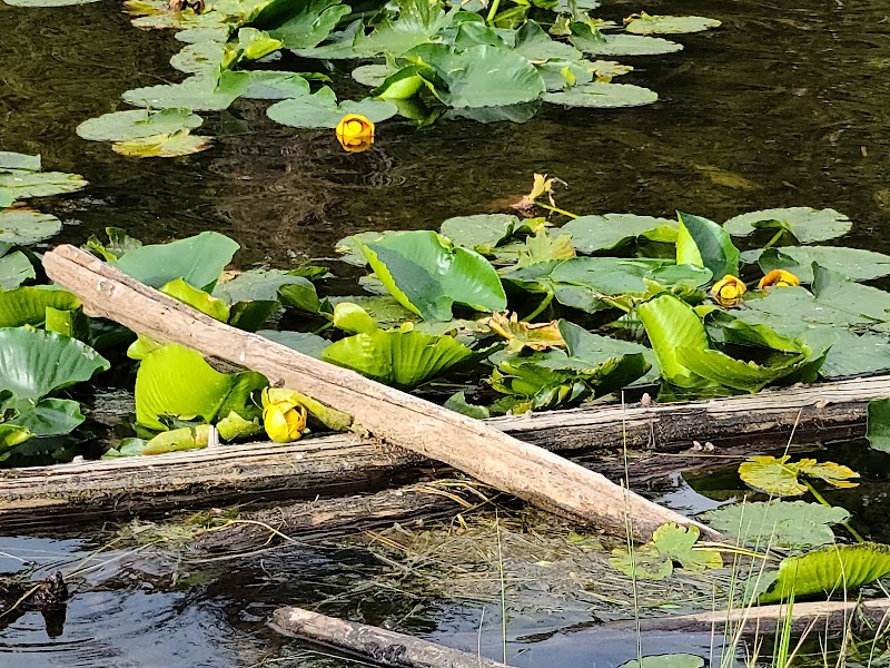 Tranquil Escapes at Potato Lake Trailhead surrounding landscape