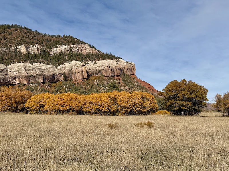Biking Bliss in Durango Trails - Durango Trails