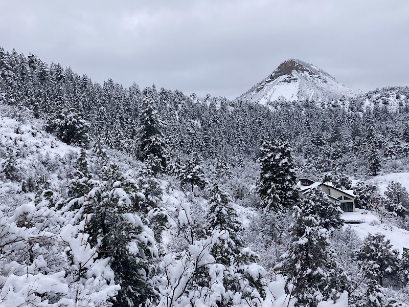 Winter Beauty at Overend Mountain Park Trailhead - Overend Mountain Park Trailhead