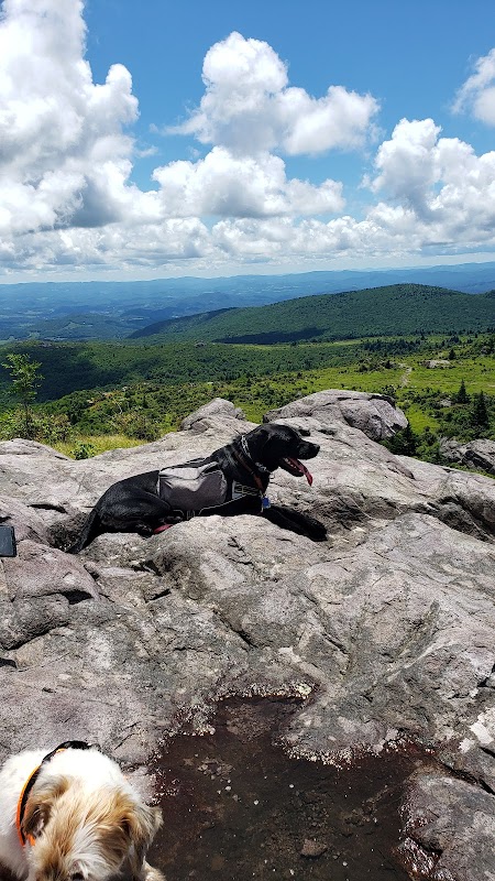 Scenic Marvels of the Appalachian Trail, Grayson Highlands - Appalachian Trail, Grayson Highlands