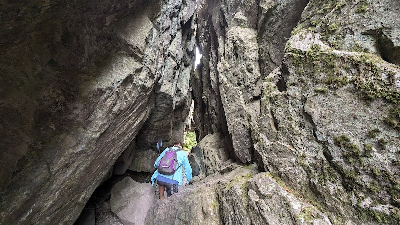 Scenic Marvels of the Appalachian Trail, Grayson Highlands outdoor detail