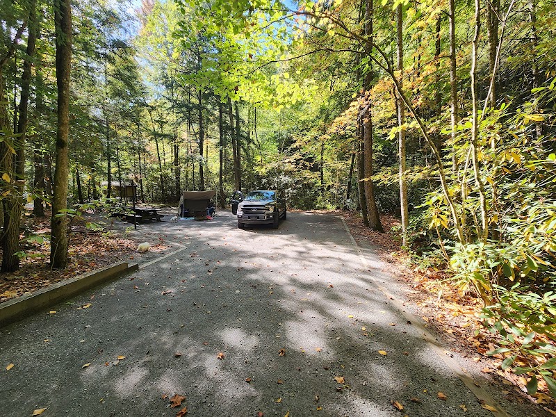 Woodland Wanderings: Backbone Rock Campground surrounding landscape