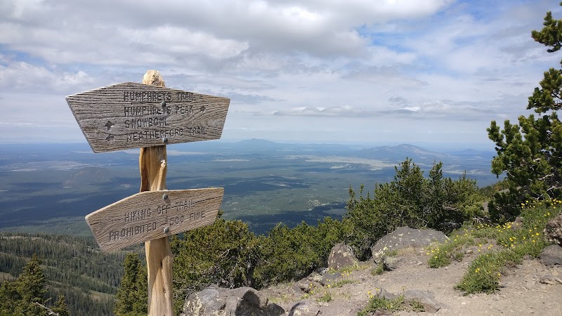 Ascend to the Skies: Humphreys Peak Trail - Humphreys Peak Trail