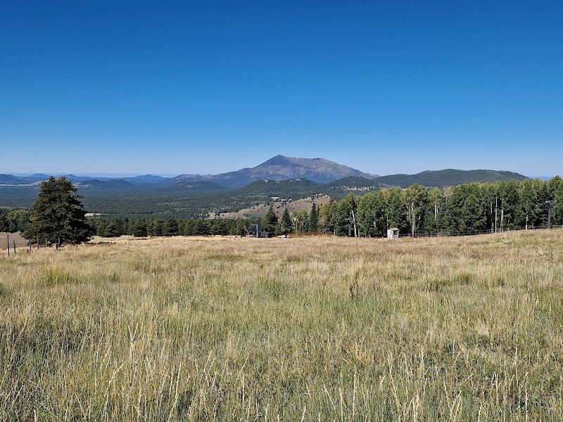 Ascend to the Skies: Humphreys Peak Trail - Humphreys Peak Trail
