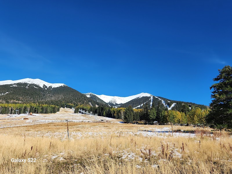 Ascend to the Skies: Humphreys Peak Trail surrounding landscape