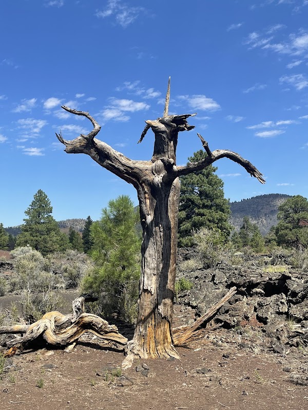 Lava Flow Trail: A Geological Marvel Near Flagstaff outdoor detail