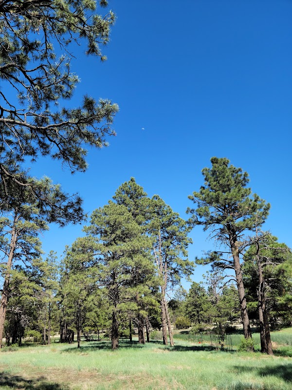 Discover the Natural Wonders of Picture Canyon - Picture Canyon Trailhead