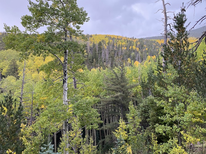 Majestic Views and Tranquil Trails: Abineau & Bear Jaw Loop Trail surrounding landscape
