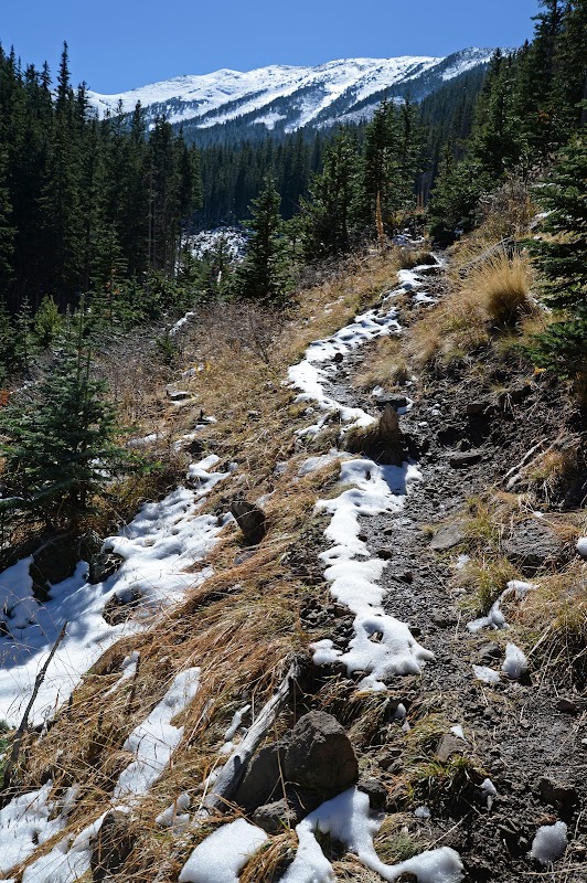 Majestic Views and Tranquil Trails: Abineau & Bear Jaw Loop Trail outdoor detail