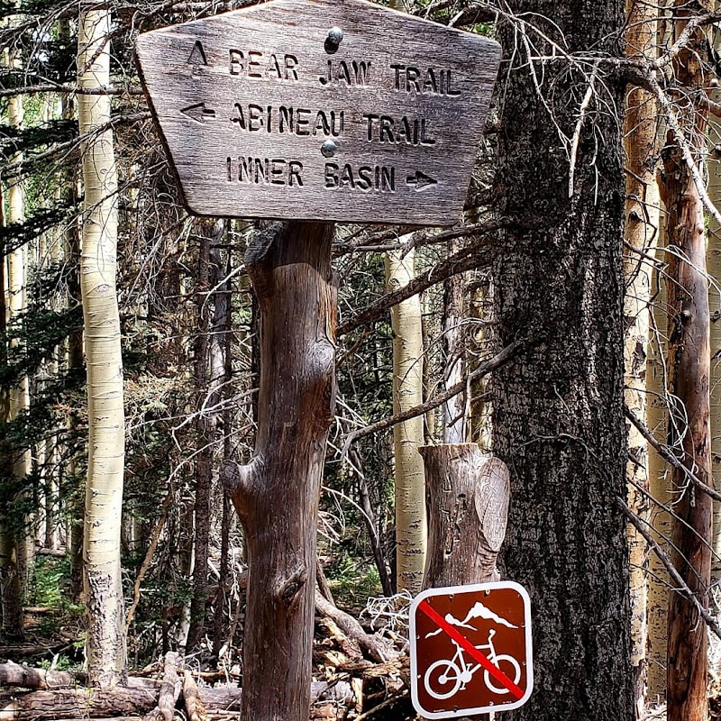 Majestic Views and Tranquil Trails: Abineau & Bear Jaw Loop Trail - Abineau & Bear Jaw Loop Trail