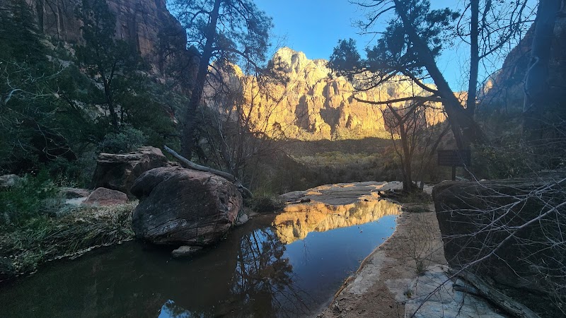 Discover Emerald Pools: A Jewel in Zion National Park outdoor detail