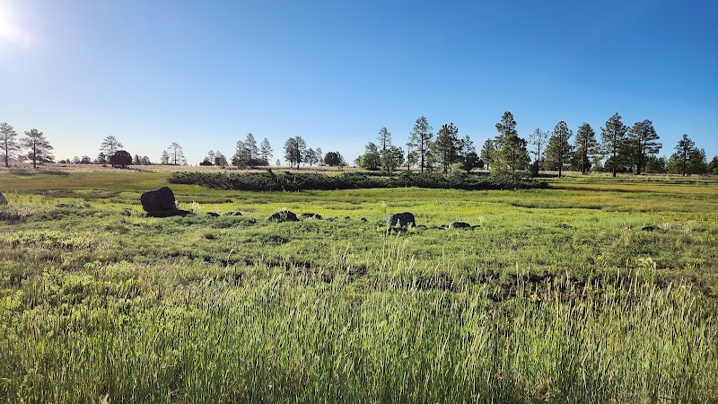 Discover Nature's Escape at Buffalo Park - Buffalo Park