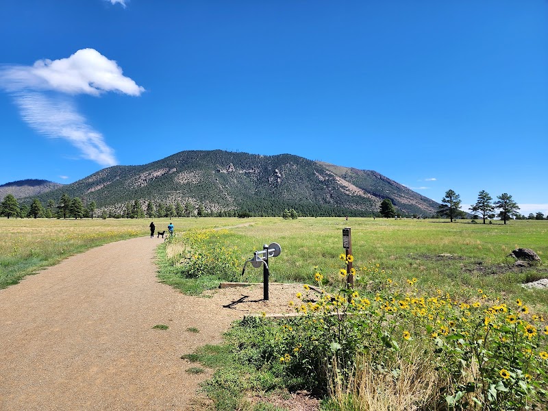 Discover Nature's Escape at Buffalo Park - Buffalo Park