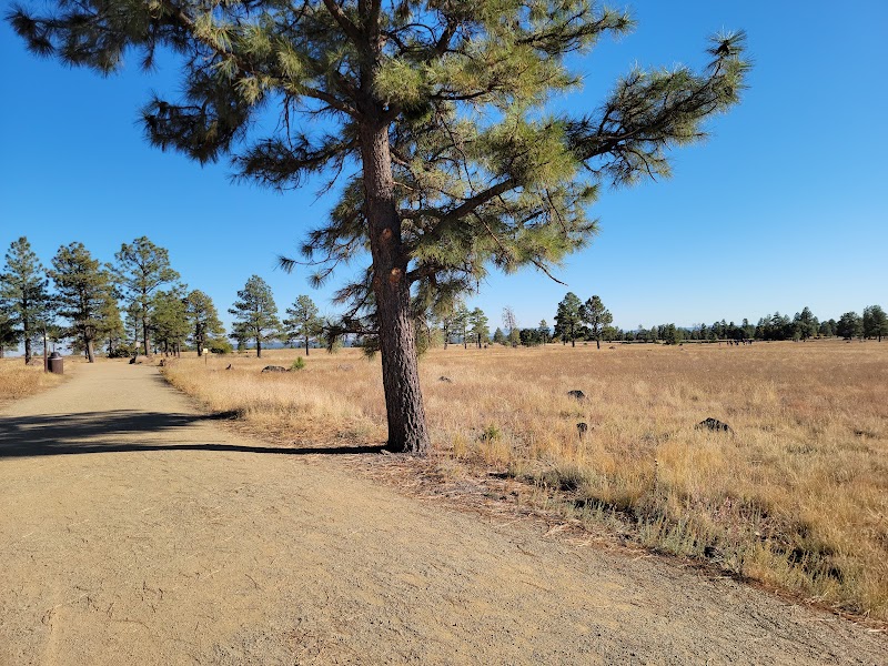 Discover Nature's Escape at Buffalo Park surrounding landscape