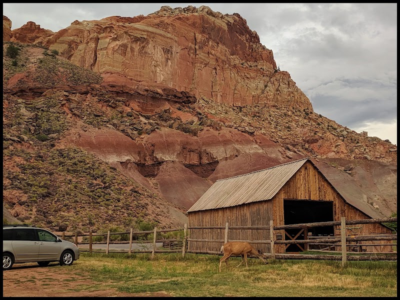Cohab Canyon: A Hidden Gem of Utah's Scenic Beauty - Cohab Canyon