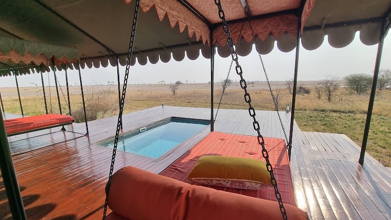 Sublime Wilderness at Jack's Camp - Jack's Camp