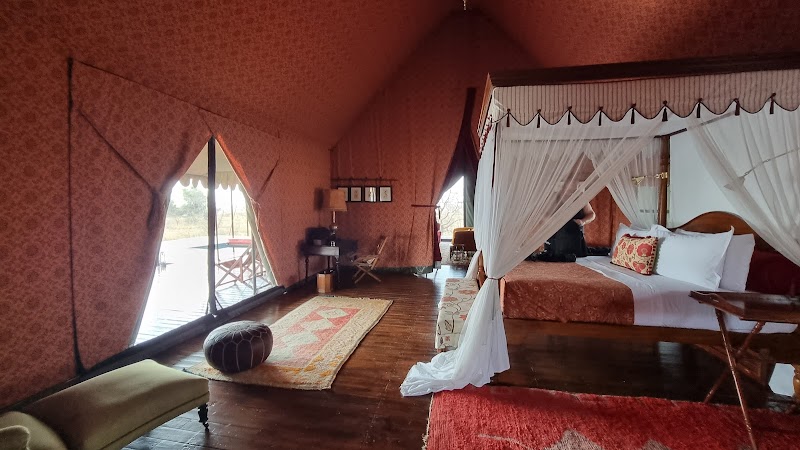 Sublime Wilderness at Jack's Camp - Jack's Camp