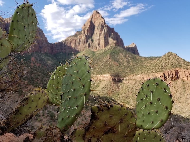 Majestic Views on the Watchman Trail outdoor detail