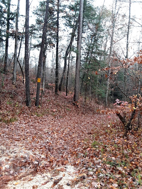 Discover the Beauty of Mize Mill Falls surrounding landscape