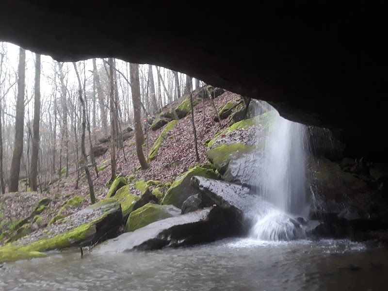 Exploring Thompson Trailhead: A Natural Haven surrounding landscape