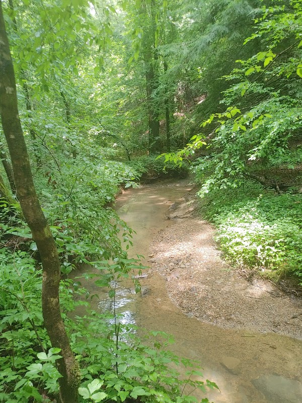 Natural Wonder of Natural Bridge Park surrounding landscape