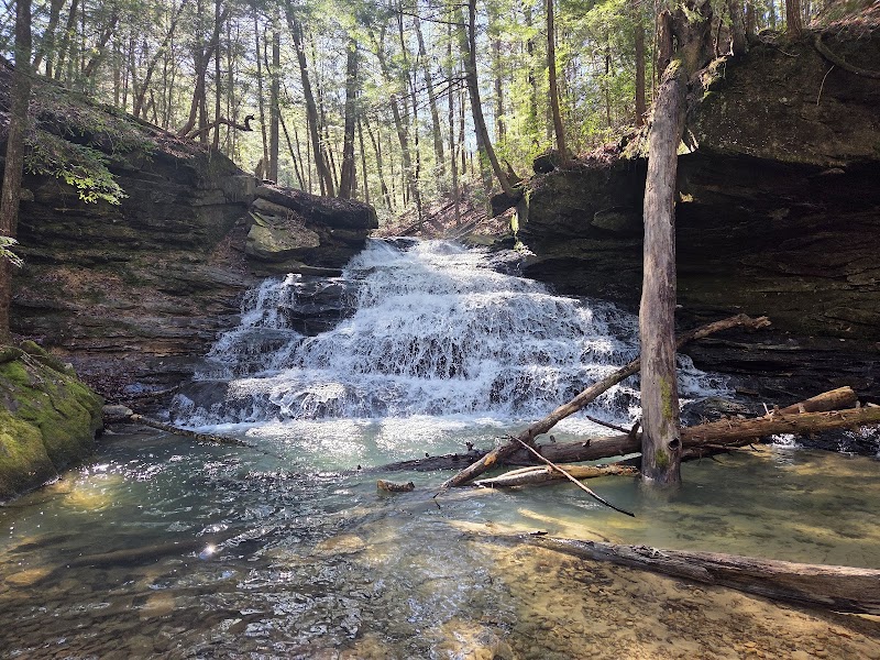 Nature's Tranquil Retreat: Eagle Creek Falls - Eagle Creek Falls