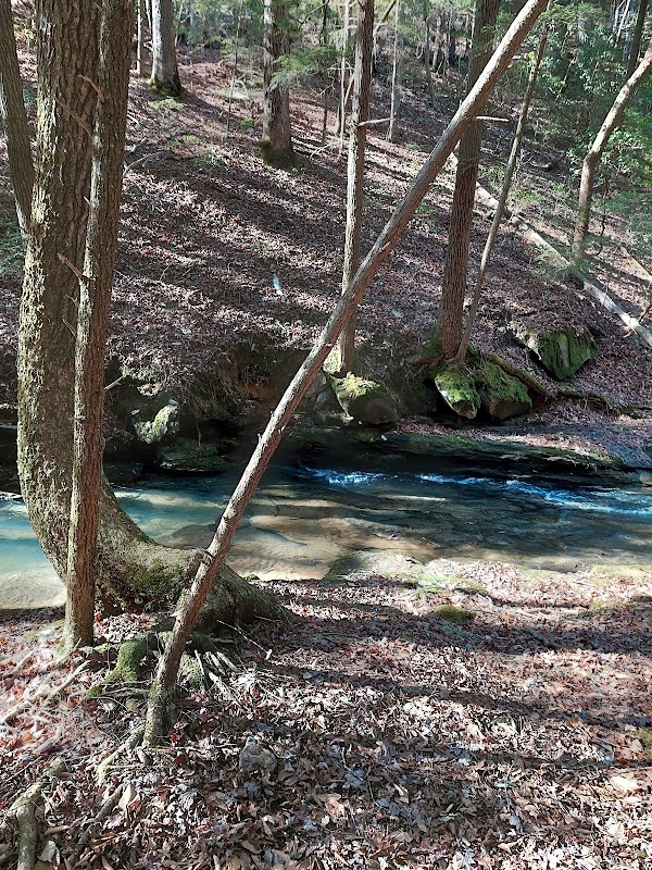 Nature's Tranquil Retreat: Eagle Creek Falls - Eagle Creek Falls
