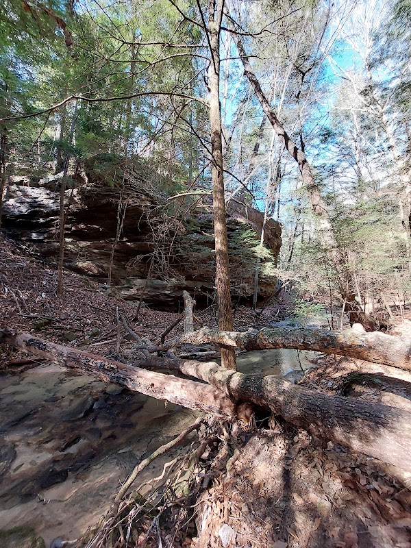 Nature's Tranquil Retreat: Eagle Creek Falls surrounding landscape
