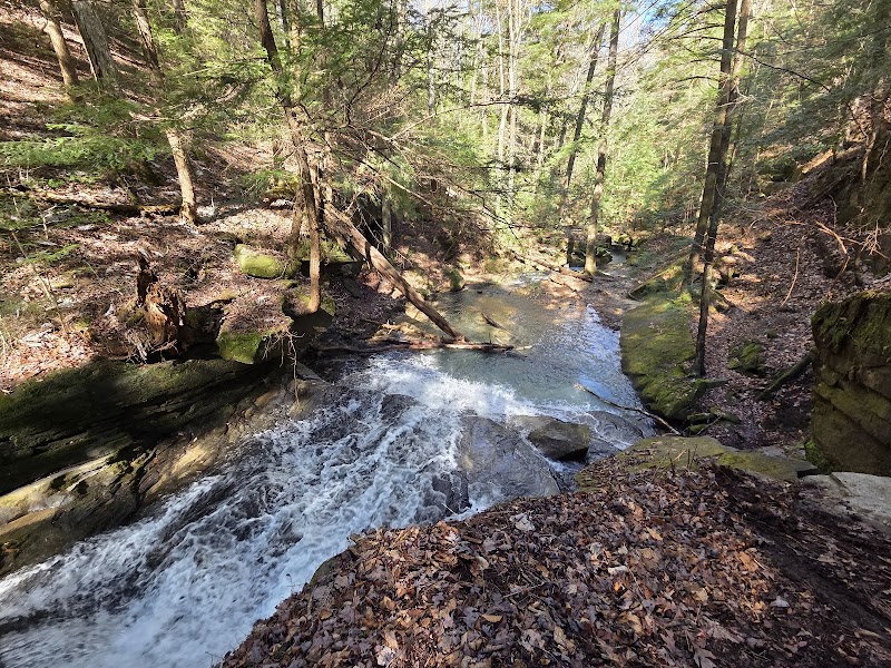 Nature's Tranquil Retreat: Eagle Creek Falls outdoor detail